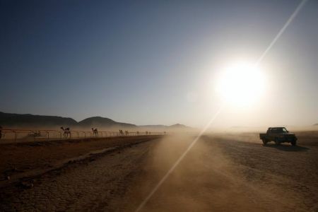   اخبارگوناگون ,خبرهای گوناگون, مسابقه دوی شترهای بی‌سوار 