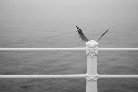   اخبارگوناگون ,خبرهای  گوناگون , تصاویر بسیار جالب