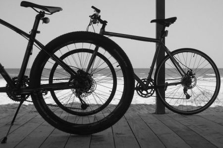   اخبارگوناگون ,خبرهای  گوناگون , تصاویر بسیار جالب