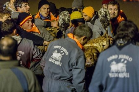   اخبار گوناگون ,خبرهای  گوناگون  , جشنواره آتش گاو