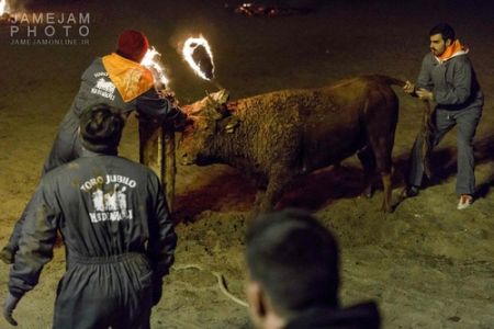   اخبار گوناگون ,خبرهای  گوناگون  , جشنواره آتش گاو