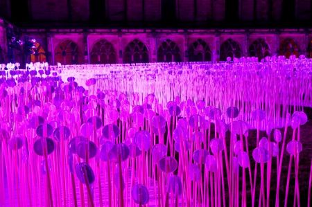   اخبار گوناگون ,خبرهای  گوناگون, جشنواره نورپردازی