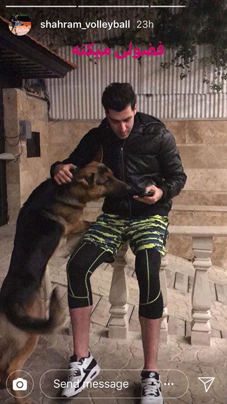 اخبار,اخبار فرهنگی,اخبار چهره ها اخبار,اخبار بازیگران,اخبار فرهنگی