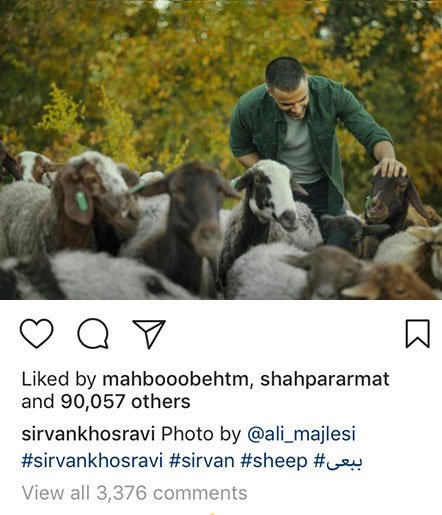 اخبار,اخبار فرهنگی,چهره ها در شبکه‌های اجتماعی