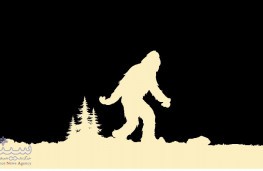 اخبار,اخبار امروز,اخبار جدید