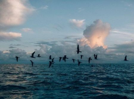 اخبار,اخبار گوناگون,ناشناخته‌ترین کشور دنیا