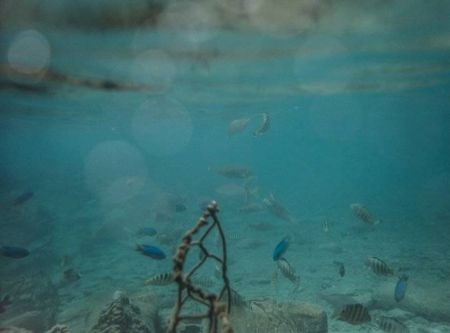 اخبار,اخبار گوناگون,ناشناخته‌ترین کشور دنیا