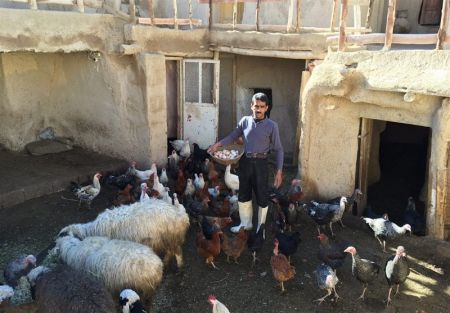 روستاییِ ساده زیستی که میلیاردر شد