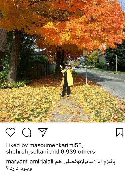 اخبار,اخبار فرهنگی,چهره ها در شبکه‌های اجتماعی
