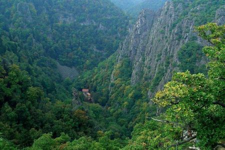 اخبار,اخبارگوناگون,طبیعت