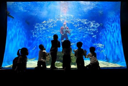 اخبار,اخبار گوناگون,بابانوئل