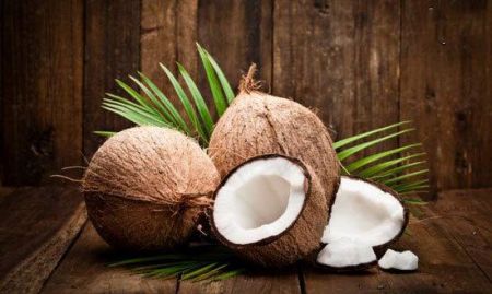 اخبار,اخبارگوناگون,طبیعت