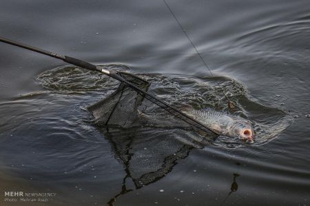اخبار,اخبارگوناگون, مسابقه ماهیگیری ورزشی در تهران