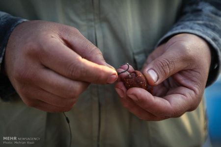 اخبار,اخبارگوناگون, مسابقه ماهیگیری ورزشی در تهران