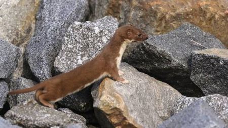 اخبار,اخبارگوناگون, اتفاقات باورنکردنی که تا سال ۲۱۰۰ در جهان خواهد افتاد 