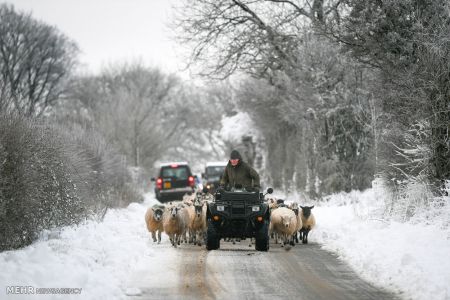 اخبار,اخبار گوناگون,برف و سرما در انگلیس