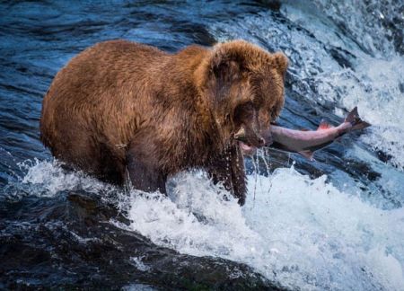 اخبار,اخبار گوناگون,عکس روز نشنال جئوگرافیک