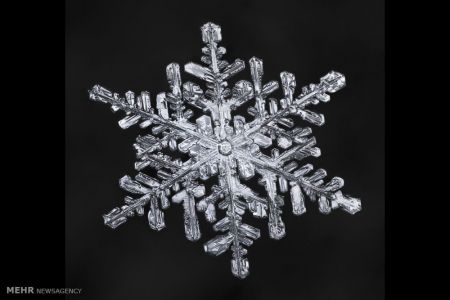 اخبار,اخبار گوناگون,اشکال زیبای دانه های برف