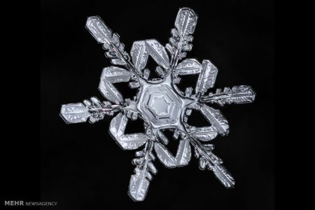اخبار,اخبار گوناگون,اشکال زیبای دانه های برف