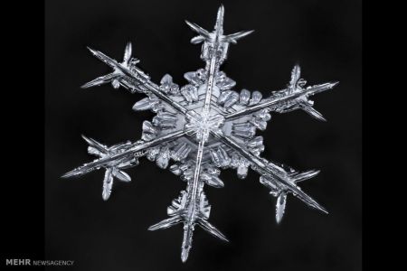 اخبار,اخبار گوناگون,اشکال زیبای دانه های برف