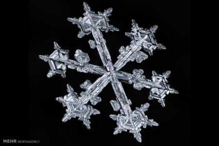 اخبار,اخبار گوناگون,اشکال زیبای دانه های برف