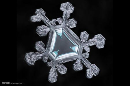 اخبار,اخبار گوناگون,اشکال زیبای دانه های برف