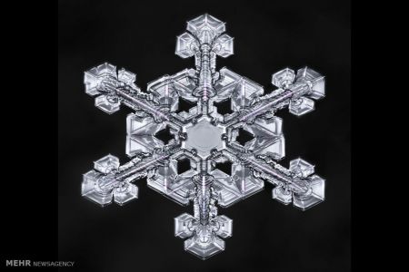 اخبار,اخبار گوناگون,اشکال زیبای دانه های برف