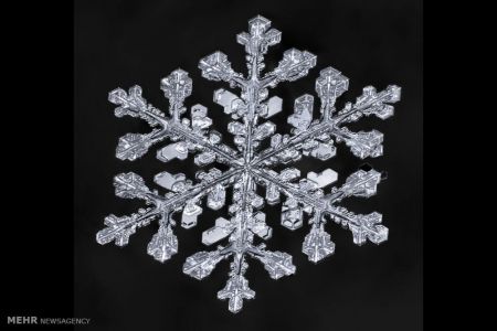 اخبار,اخبار گوناگون,اشکال زیبای دانه های برف