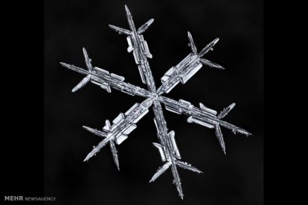 اخبار,اخبار گوناگون,اشکال زیبای دانه های برف