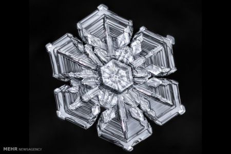 اخبار,اخبار گوناگون,اشکال زیبای دانه های برف