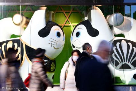 اخبار,اخبار گوناگون,سال سگ