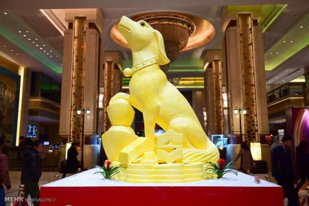 اخبار,اخبار گوناگون,سال سگ