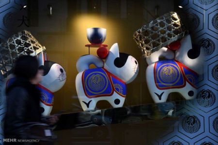 اخبار,اخبار گوناگون,سال سگ