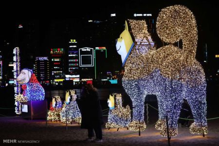 اخبار,اخبار گوناگون,سال سگ