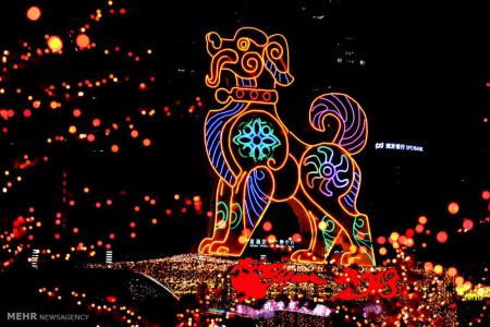 اخبار,اخبار گوناگون,سال سگ