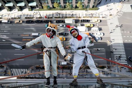 اخبار,اخبار گوناگون,سال سگ