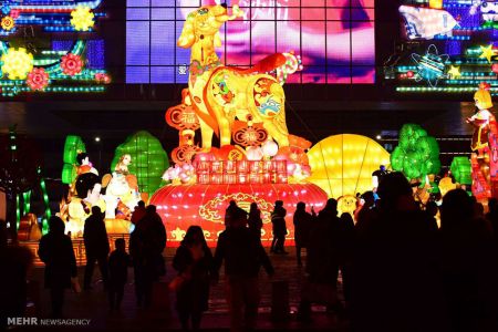 اخبار,اخبار گوناگون,سال سگ