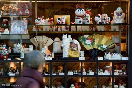 اخبار,اخبار گوناگون,سال سگ