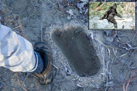 اخبار,اخبار گوناگون,15 راز بزرگ تاریخ اخبار,اخبار گوناگون,15 راز بزرگ تاریخ