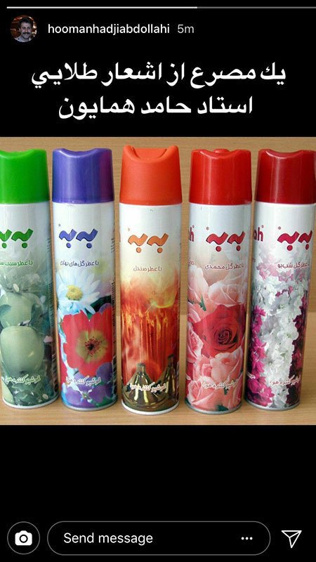 اخبار,اخبار فرهنگی,چهره ها در شبکه‌های اجتماعی