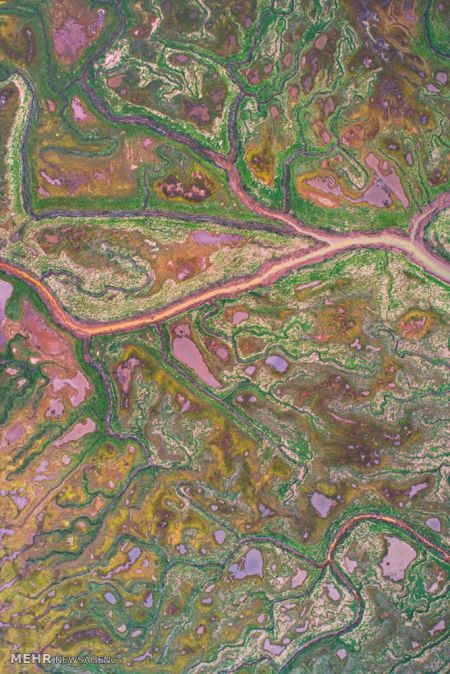 اخبار,اخبار گوناگون,تصاویر هوایی هنری