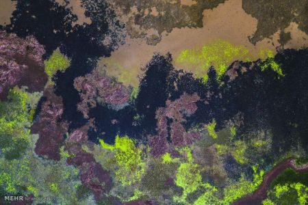 اخبار,اخبار گوناگون,تصاویر هوایی هنری