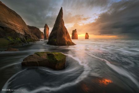 اخبار,اخبار گوناگون,برندگان مسابقه سالانه عکاسی استرالیا