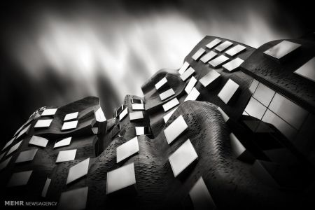 اخبار,اخبار گوناگون,برندگان مسابقه سالانه عکاسی استرالیا