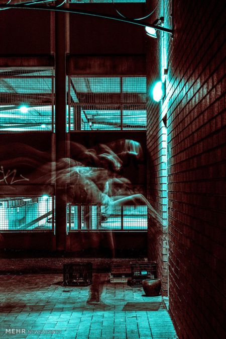 اخبار,اخبار گوناگون,برندگان مسابقه سالانه عکاسی استرالیا