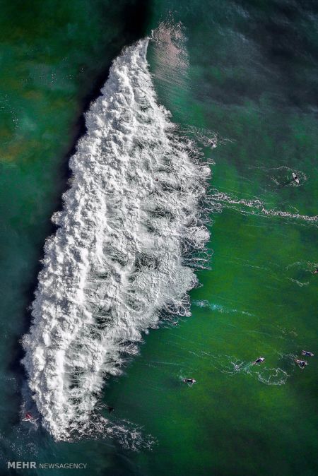 اخبار,اخبار گوناگون,برندگان مسابقه سالانه عکاسی استرالیا