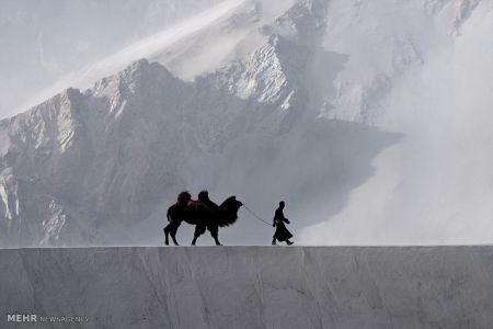 اخبار,اخبار گوناگون,برندگان مسابقه سالانه عکاسی استرالیا