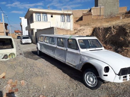 اخبار,اخبار گوناگون,خودرو ژیان با ساختار لیموزین