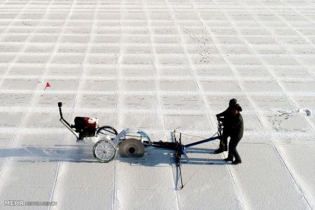 اخبار,اخبارگوناگون,زمستان سرد در نیمکره شمالی