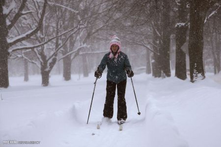اخبار,اخبارگوناگون,زمستان سرد در نیمکره شمالی